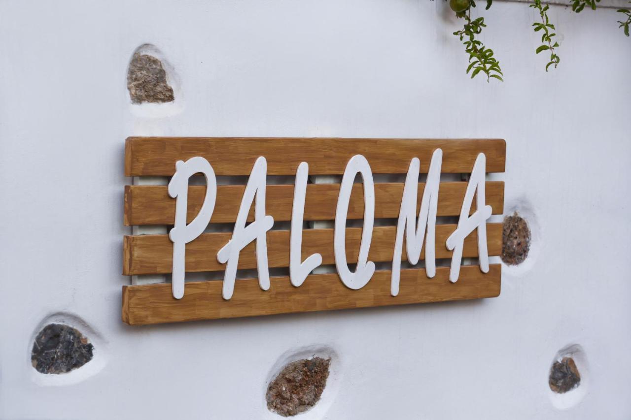 Paloma Luxury Studios Panormos  Exterior foto